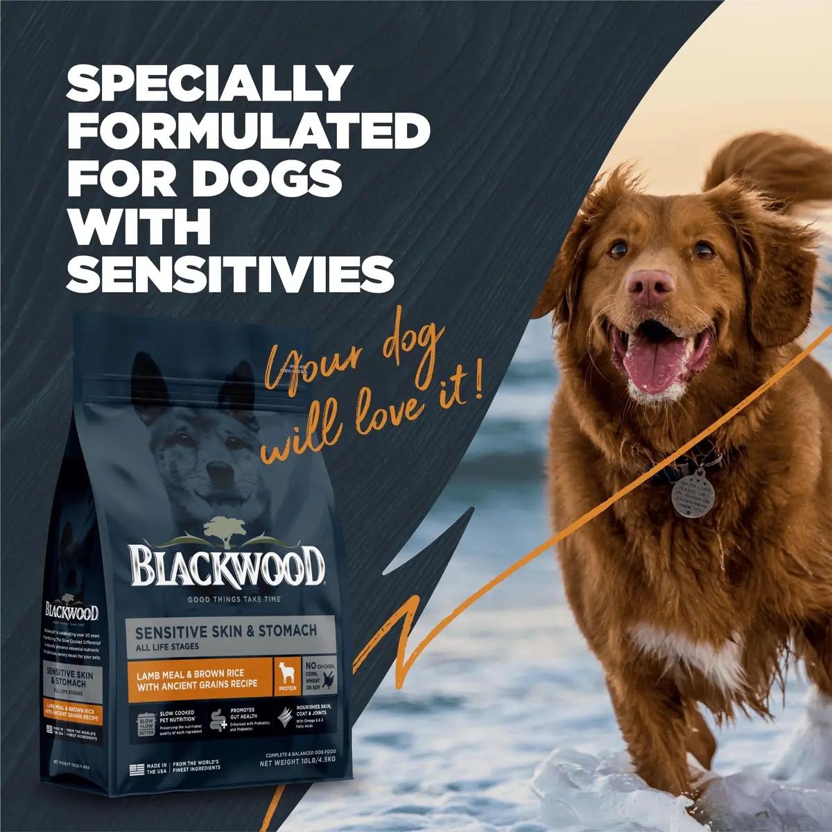 Blackwood Sensitive Premium Dry Dog Food, Lamb Meal & Brown Rice, 4.55kg (10 lb) | Supports Skin & Digestion - view 6