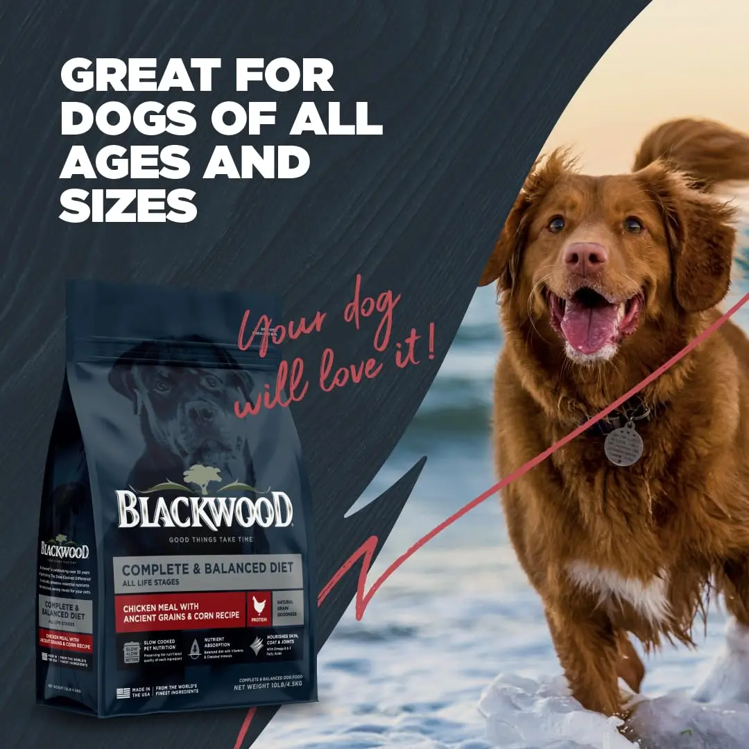Blackwood Complete & Balanced Dry Dog Food, Chicken Meal, 24 lb | Supports Digestion & Coat - view 6