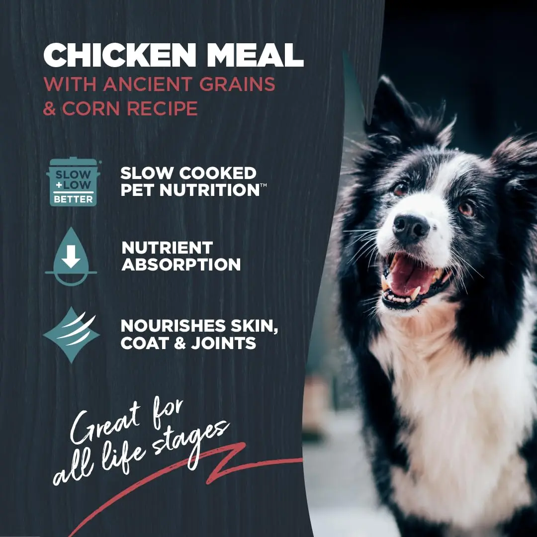 Blackwood Complete & Balanced Dry Dog Food, Chicken Meal, 24 lb | Supports Digestion & Coat - view 2