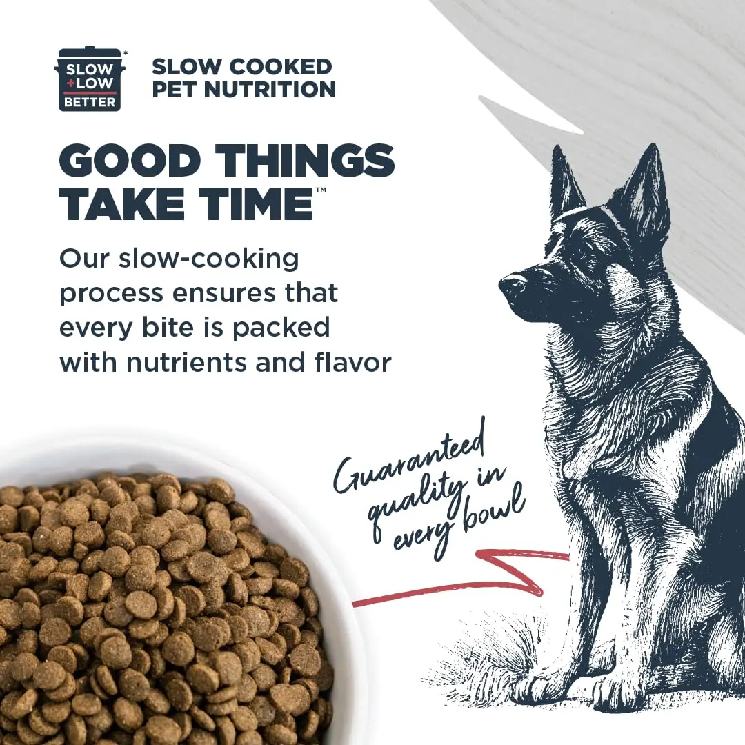 Blackwood Complete & Balanced Dry Dog Food, Chicken Meal, 24 lb | Supports Digestion & Coat - view 4