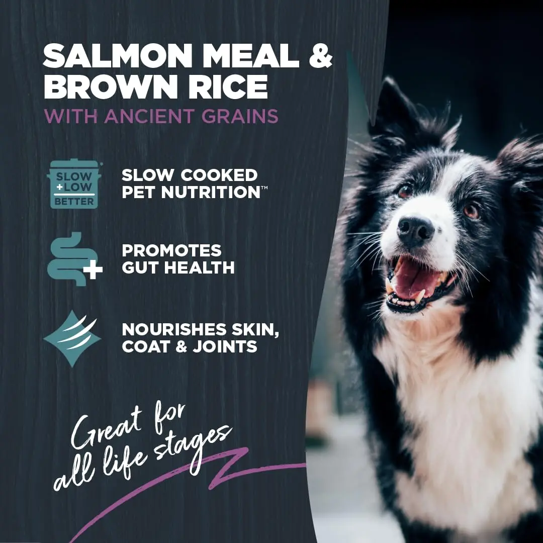 Blackwood Sensitive Premium Dry Dog Food, Salmon Meal & Brown Rice, 24 lb | Supports Skin & Digestion - view 2