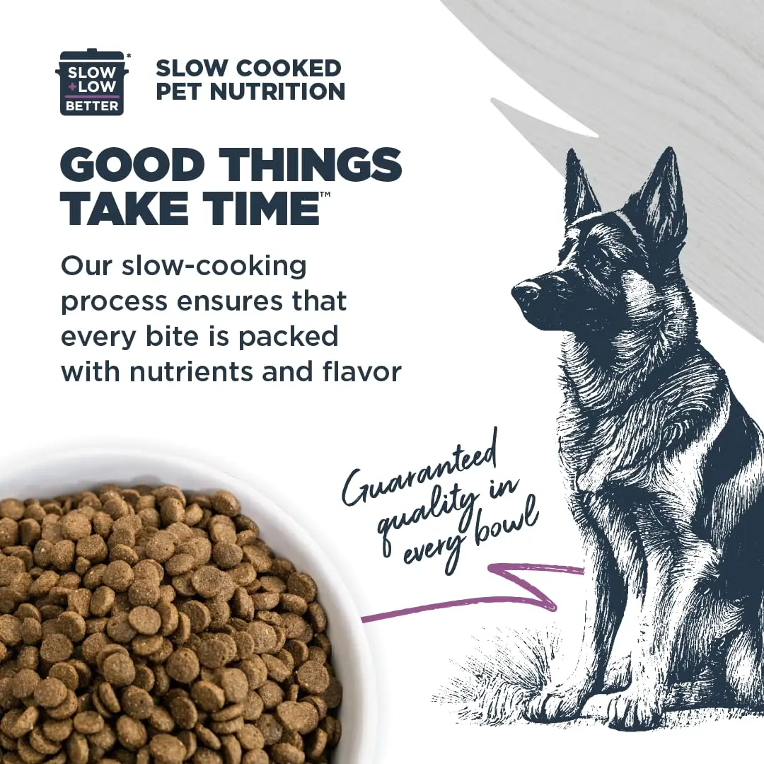 Blackwood Sensitive Premium Dry Dog Food, Salmon Meal & Brown Rice, 24 lb | Supports Skin & Digestion - view 4