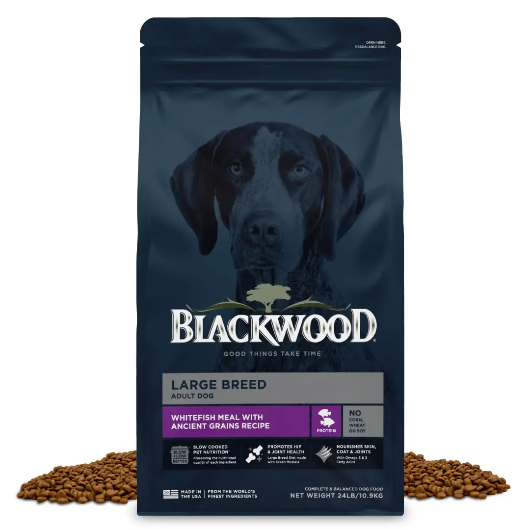 Blackwood Large Breed Premium Dry Dog Food, Whitefish & Ancient Grain 24 lb | Supports Joints & Digestion - main product image