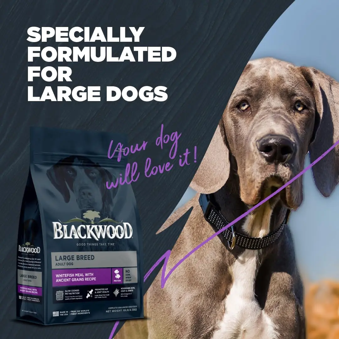 Blackwood Large Breed Premium Dry Dog Food, Whitefish & Ancient Grain 24 lb | Supports Joints & Digestion - view 6