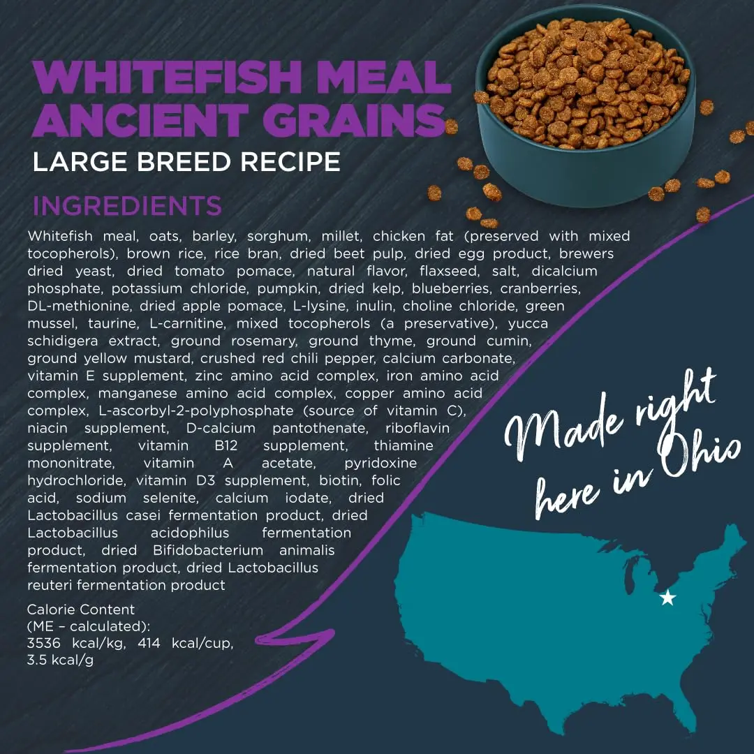 Blackwood Large Breed Premium Dry Dog Food, Whitefish & Ancient Grain 24 lb | Supports Joints & Digestion - view 8