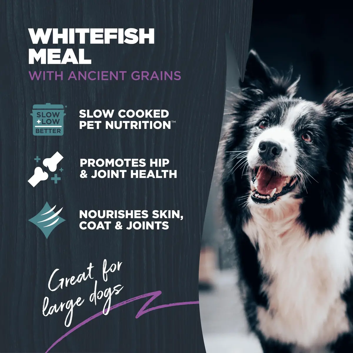 Blackwood Large Breed Premium Dry Dog Food, Whitefish & Ancient Grain 24 lb | Supports Joints & Digestion - view 2
