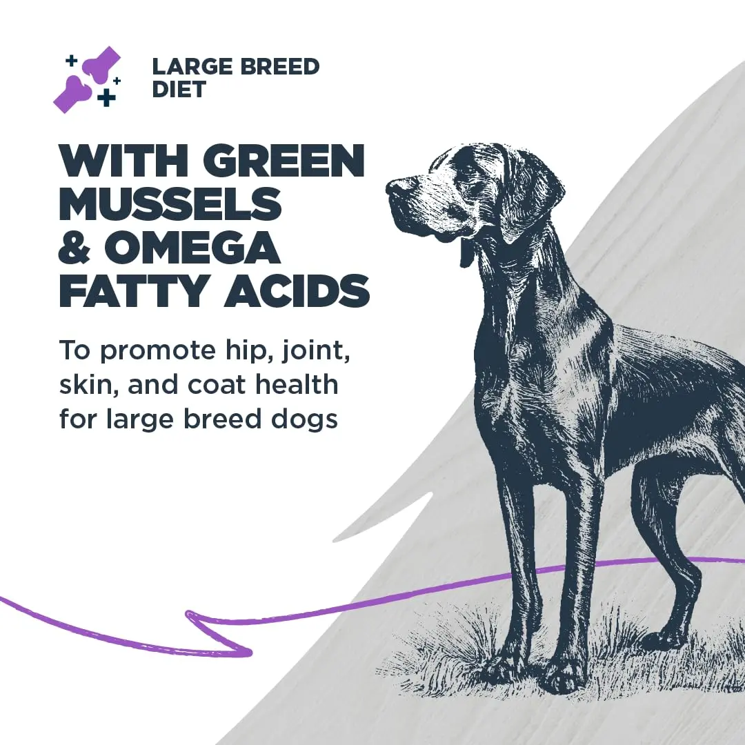 Blackwood Large Breed Premium Dry Dog Food, Whitefish & Ancient Grain 24 lb | Supports Joints & Digestion - view 3