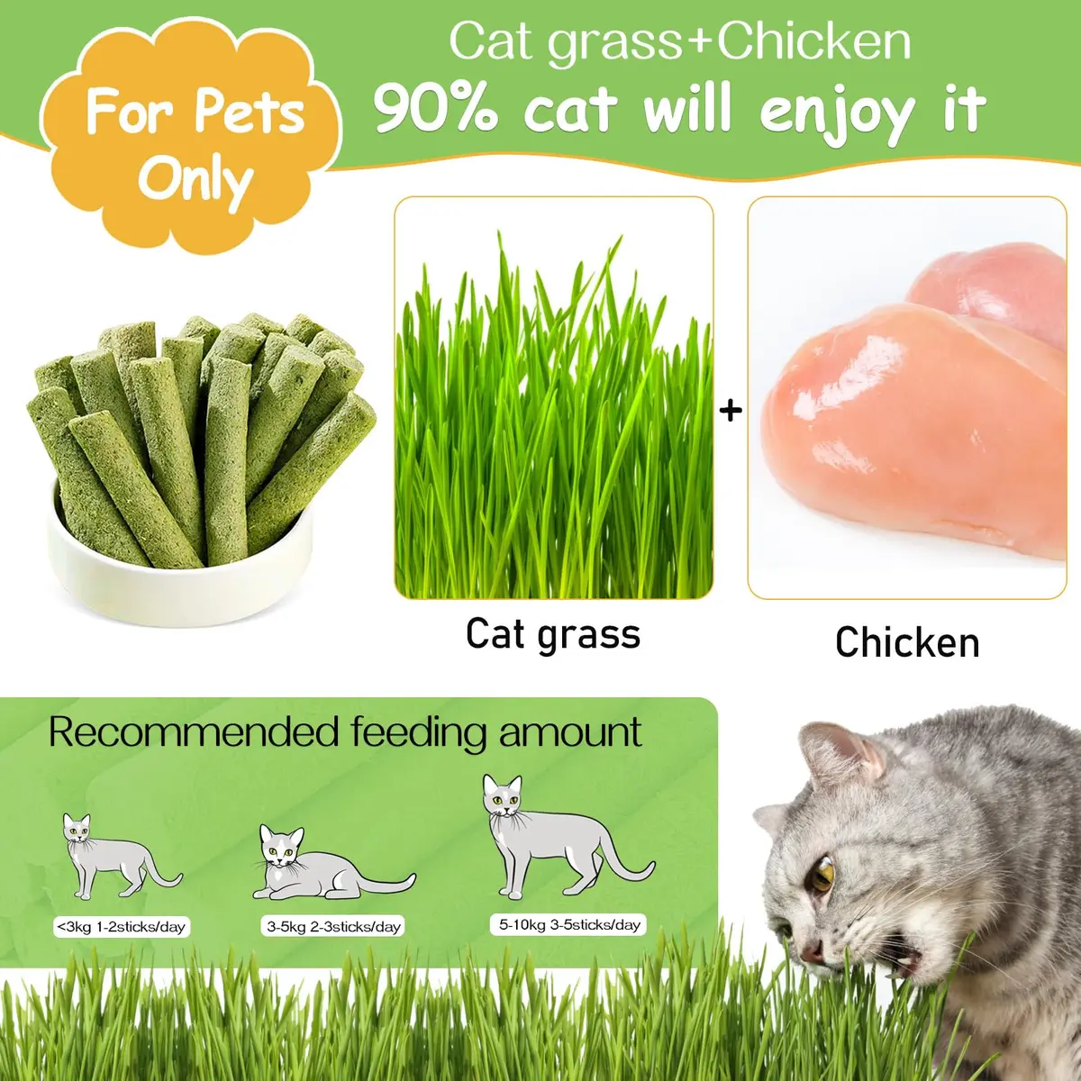 HavenJanny Cat Grass Teething Stick 100g (3.52 oz) | Chicken Flavor for Dental Health & Hairball Control - view 2
