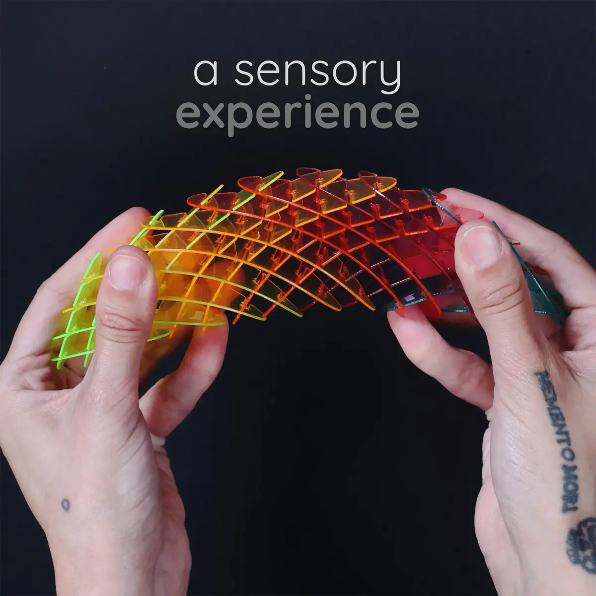 morf Worm 3D Sensory Figgy Fidget Toy, Rainbow, Small | ASTM-Tested, BPA-Free - view 2