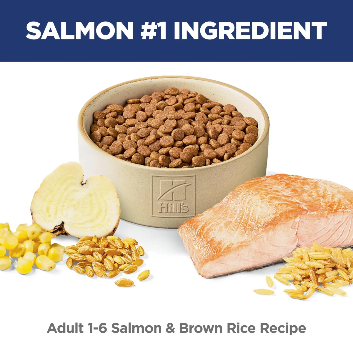 Hill's Science Diet Adult 1-6 Dry Cat Food Salmon & Brown Rice 1.59 kg (3.5 lb) | Veterinarian Recommended for Lean Muscle & Digestion - view 2