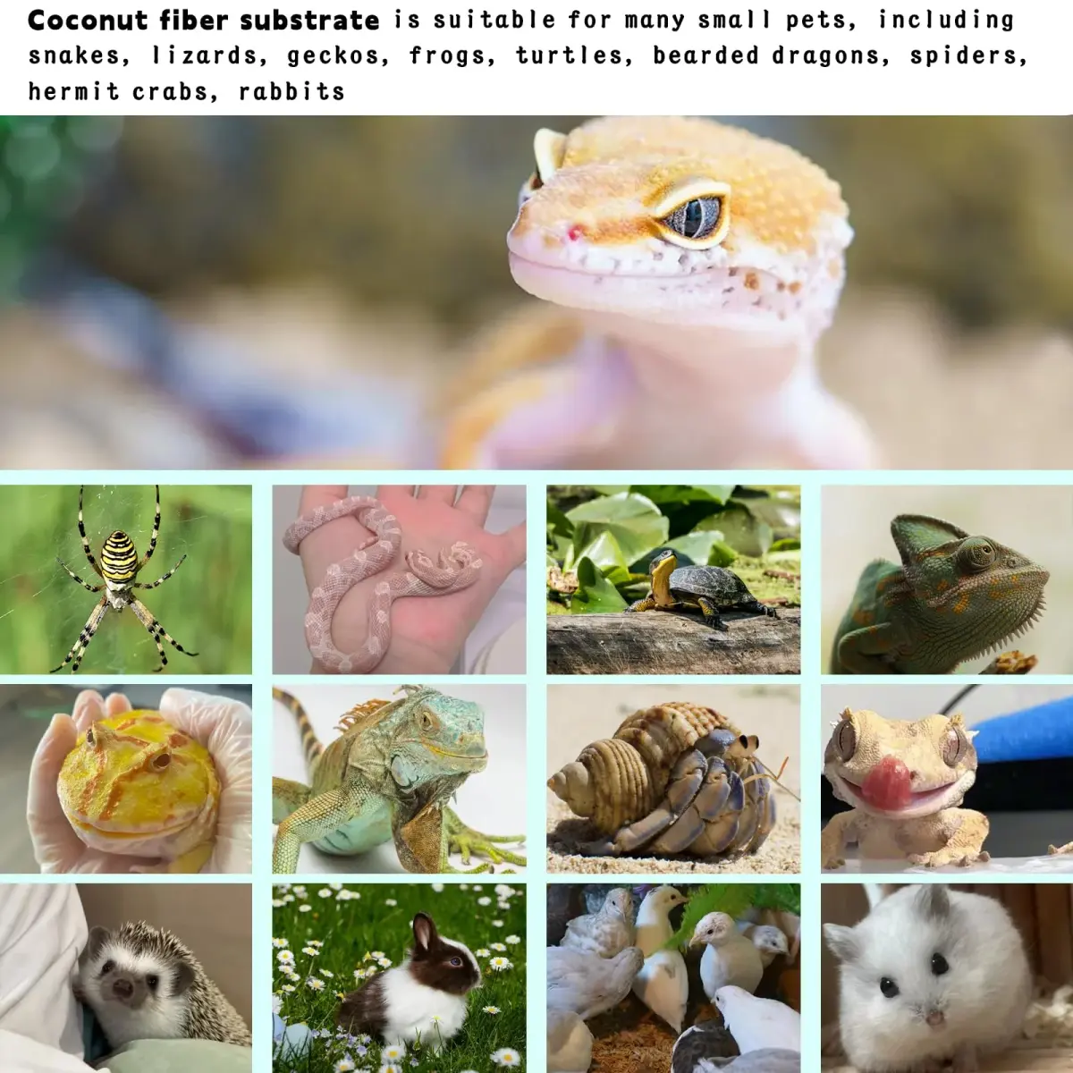 Hamiledyi Natural Coconut Fiber Reptile Carpet 40cm x 399cm (16in x 157in) | Breathable, Odor-Reducing Cage Liner - view 6