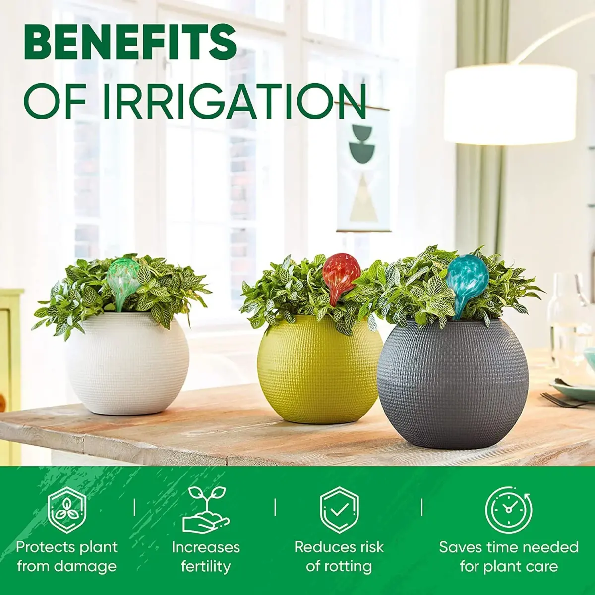 Mission Gallery Plant Watering Globes Set of 4 Small | 100ml Capacity for 5-Day Irrigation - view 4