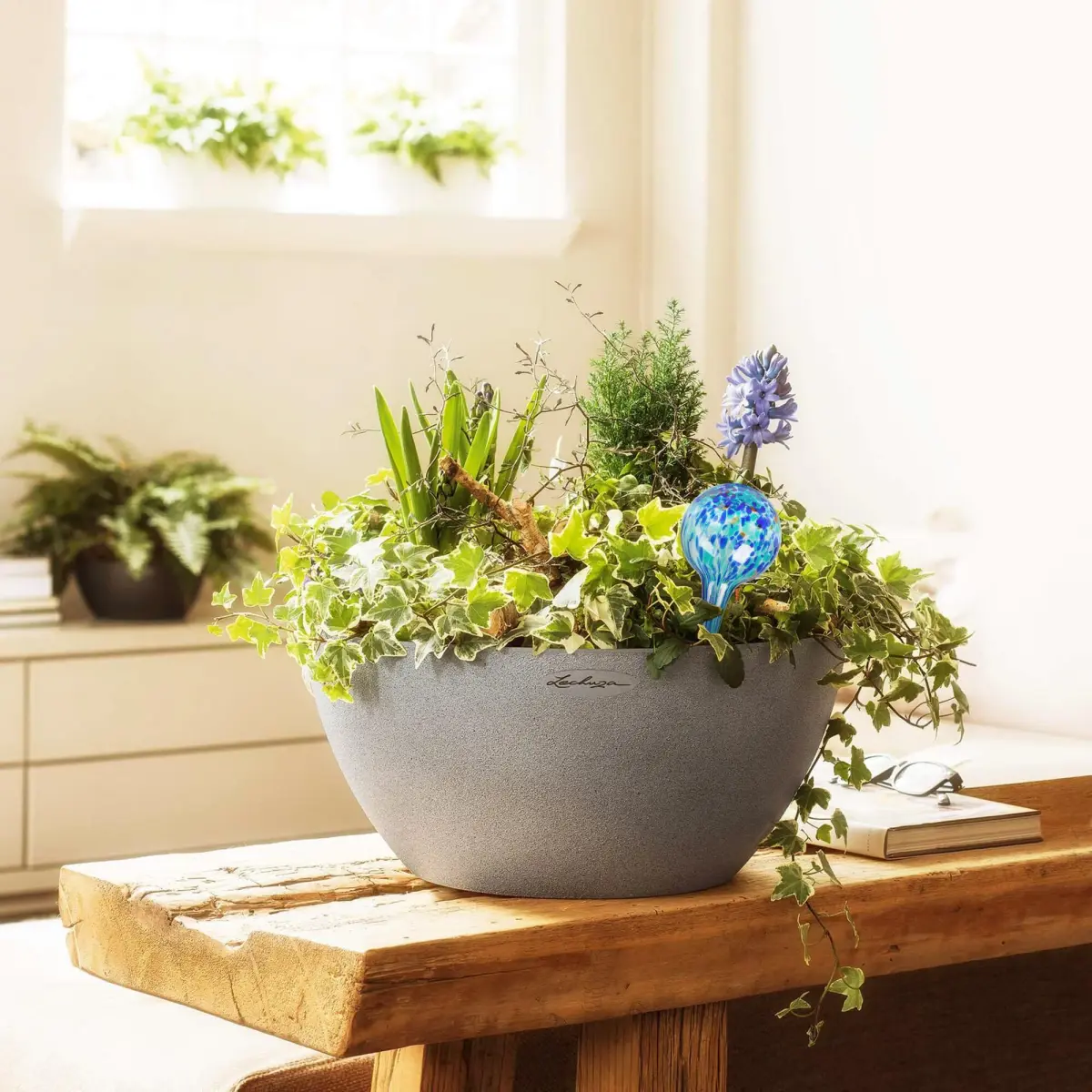 Mission Gallery Glass Plant Watering Globes Set of 4, Large 200ml | Automatic Irrigation for Indoor & Outdoor Plants - view 2