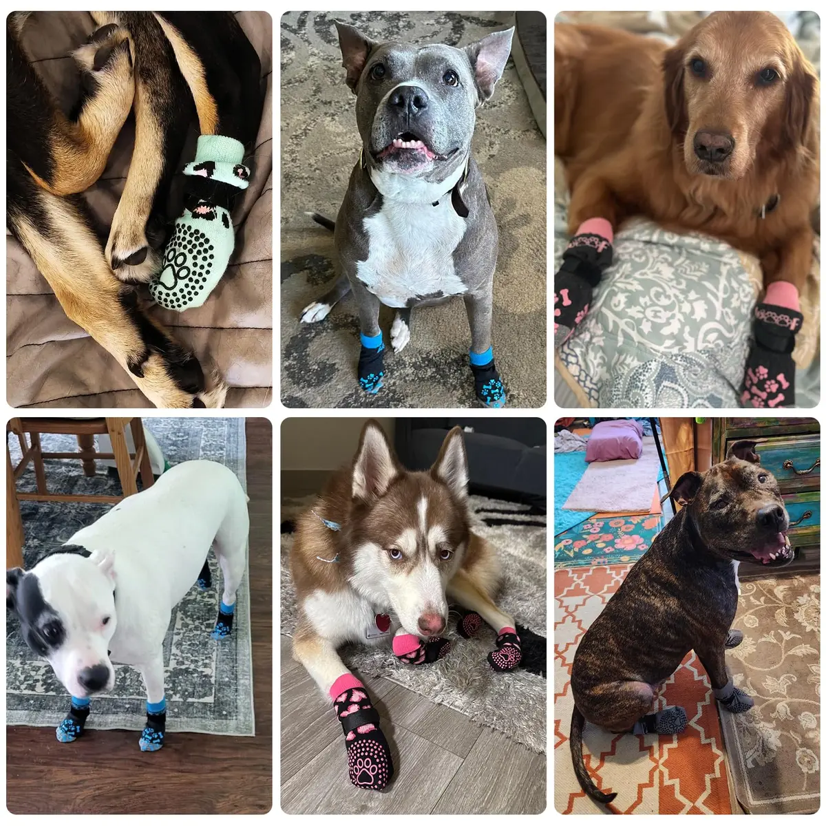 KOOLTAIL Dog Socks Shoes for Hot Pavement XL | Anti Slip Paw Protector for Senior Dogs - view 7