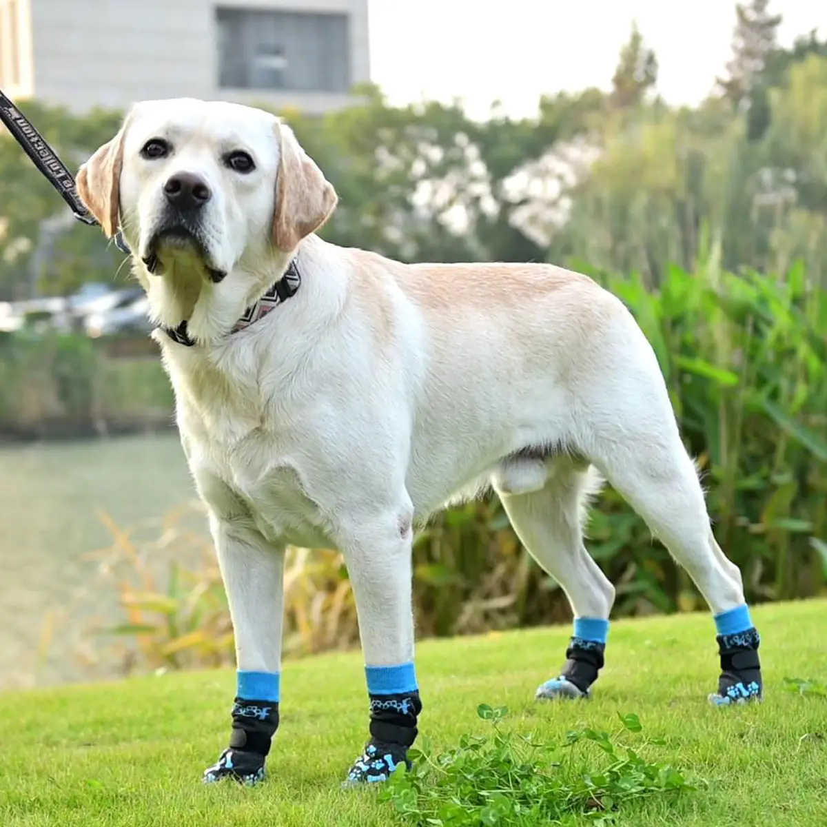 KOOLTAIL Dog Socks Shoes for Hot Pavement XL | Anti Slip Paw Protector for Senior Dogs - view 8