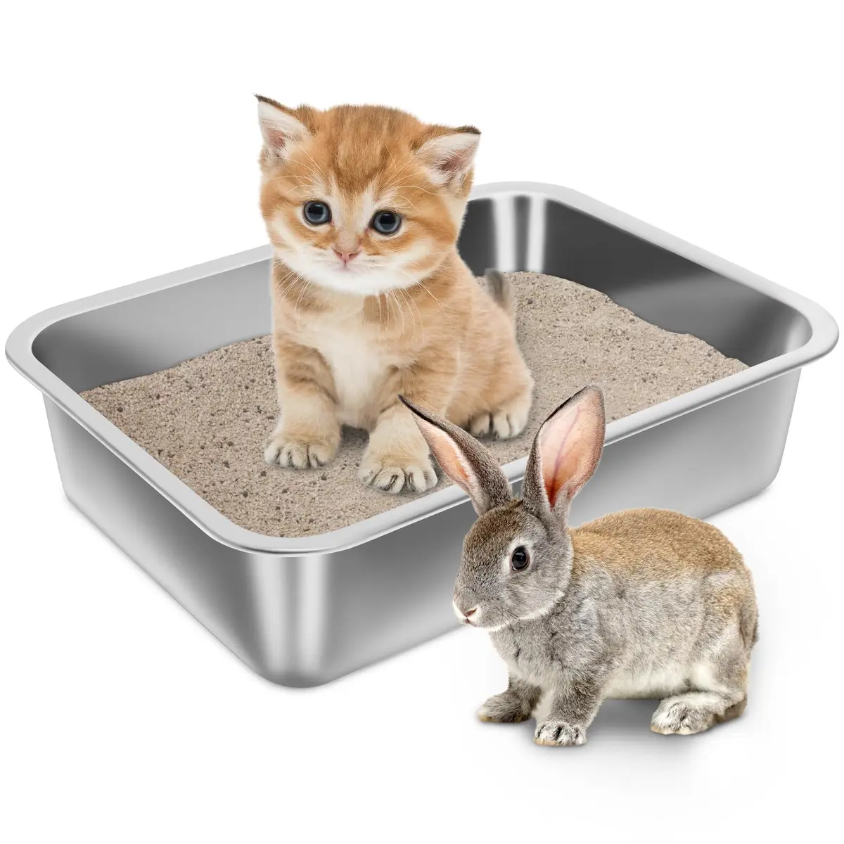 Holintan Stainless Steel Litter Box for Kitten, Small | Easy Entry, Odor-Free, Durable Metal - main product image