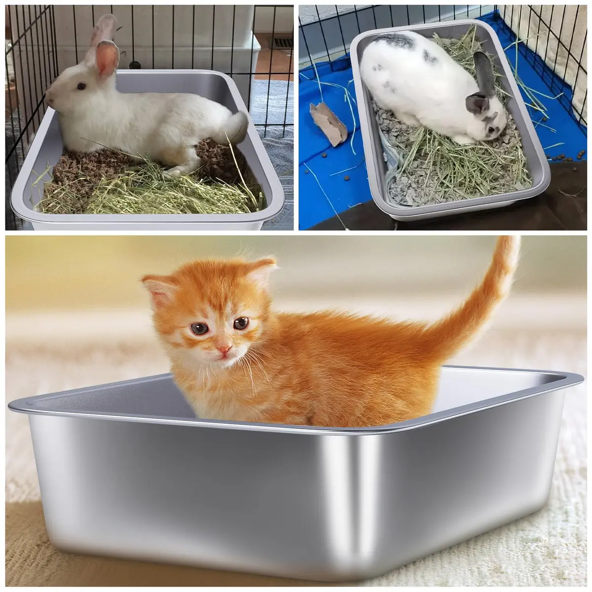 Holintan Stainless Steel Litter Box for Kitten, Small | Easy Entry, Odor-Free, Durable Metal - view 6