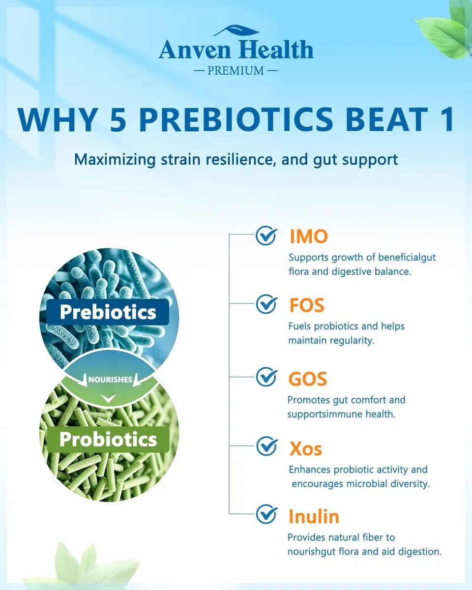 Anven Health Probiotics for Women Men Prebiotics 60 Capsules | Digestive & Gut Support in USA - view 3