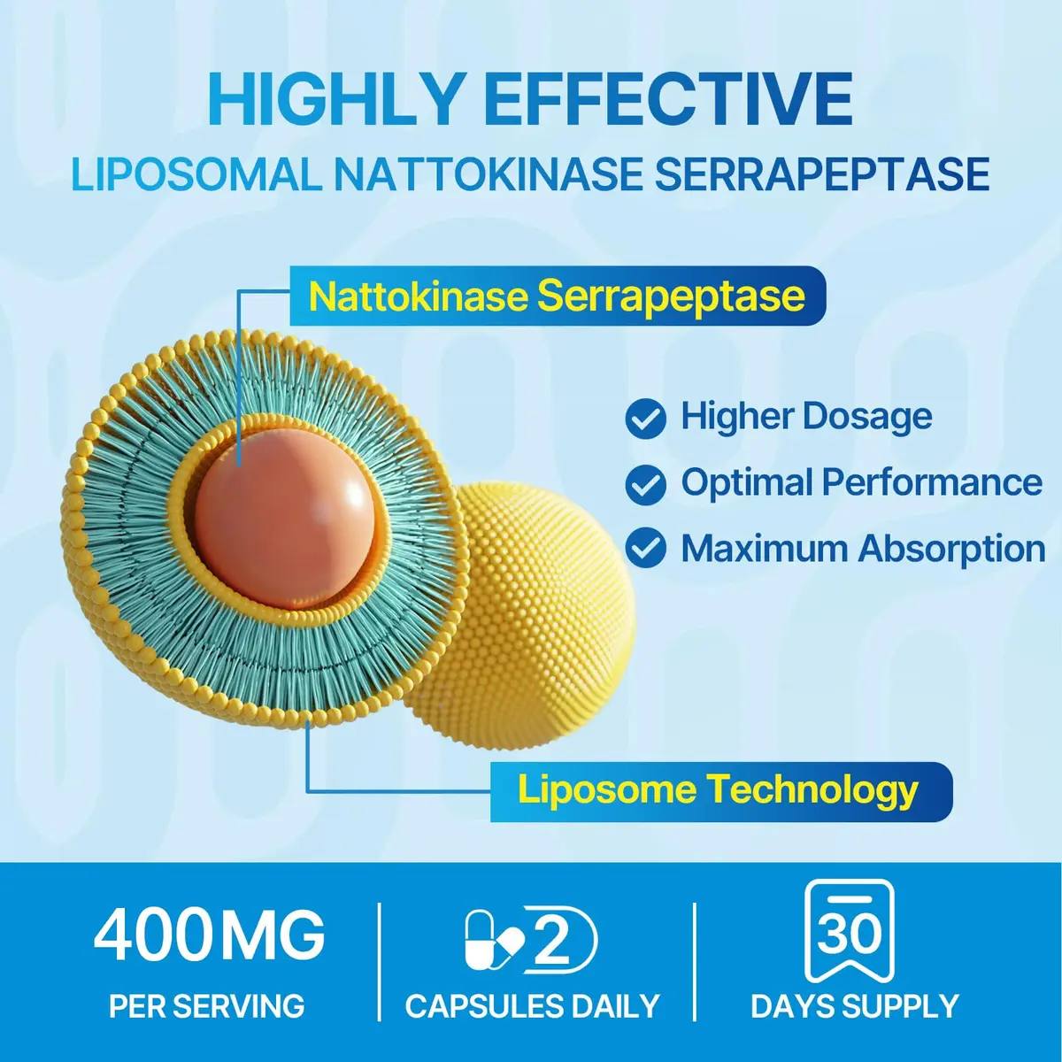 Naering Liposomal Nattokinase 12,000 FU Serrapeptase 360,000 SPU | Advanced Enzyme Supplement for Wellness (70-120 chars) - view 4