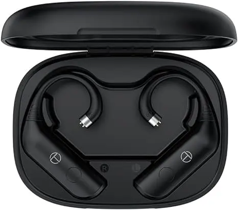 Fanmusic TRN BT20 Pro Wireless Earphones | Bluetooth 5.3, Swappable Connectors, 50H Playback - main product image