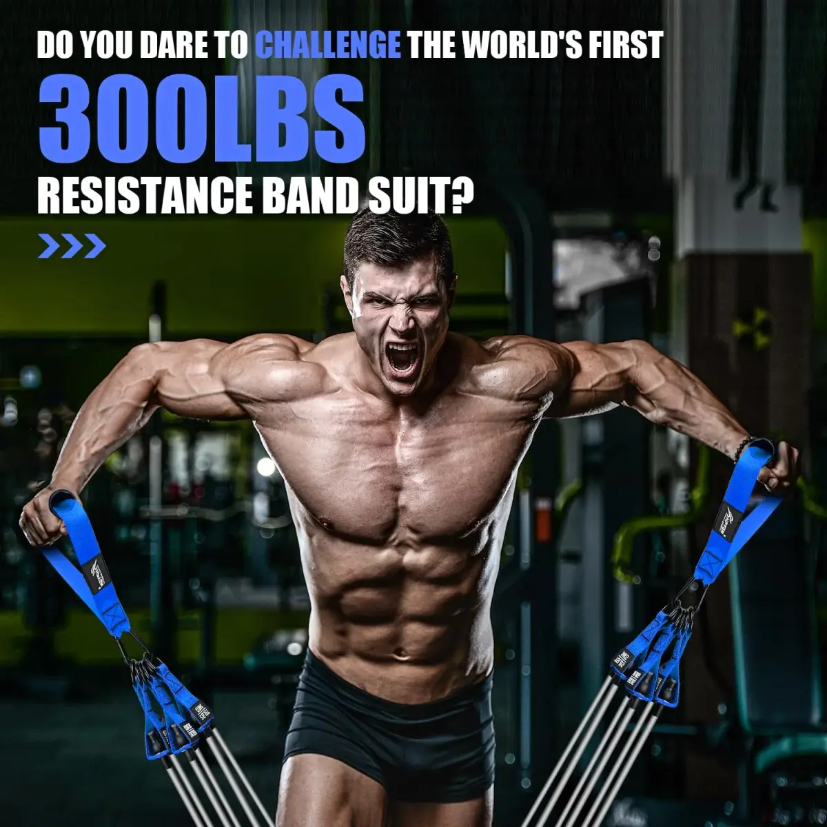 HPYGN Heavy Resistance Bands Set with Handles & Accessories - 420 lbs Max Resistance | 6 Bands, 2 Handles, Door Anchor, Ankle Straps, Carry Bag - view 6