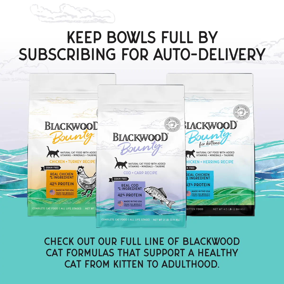 Blackwood Bounty Dry Cat Food, Cod & Carp Recipe, 2 lb | Slow Cooked, High Protein, Grain-Free Nutrition - view 7