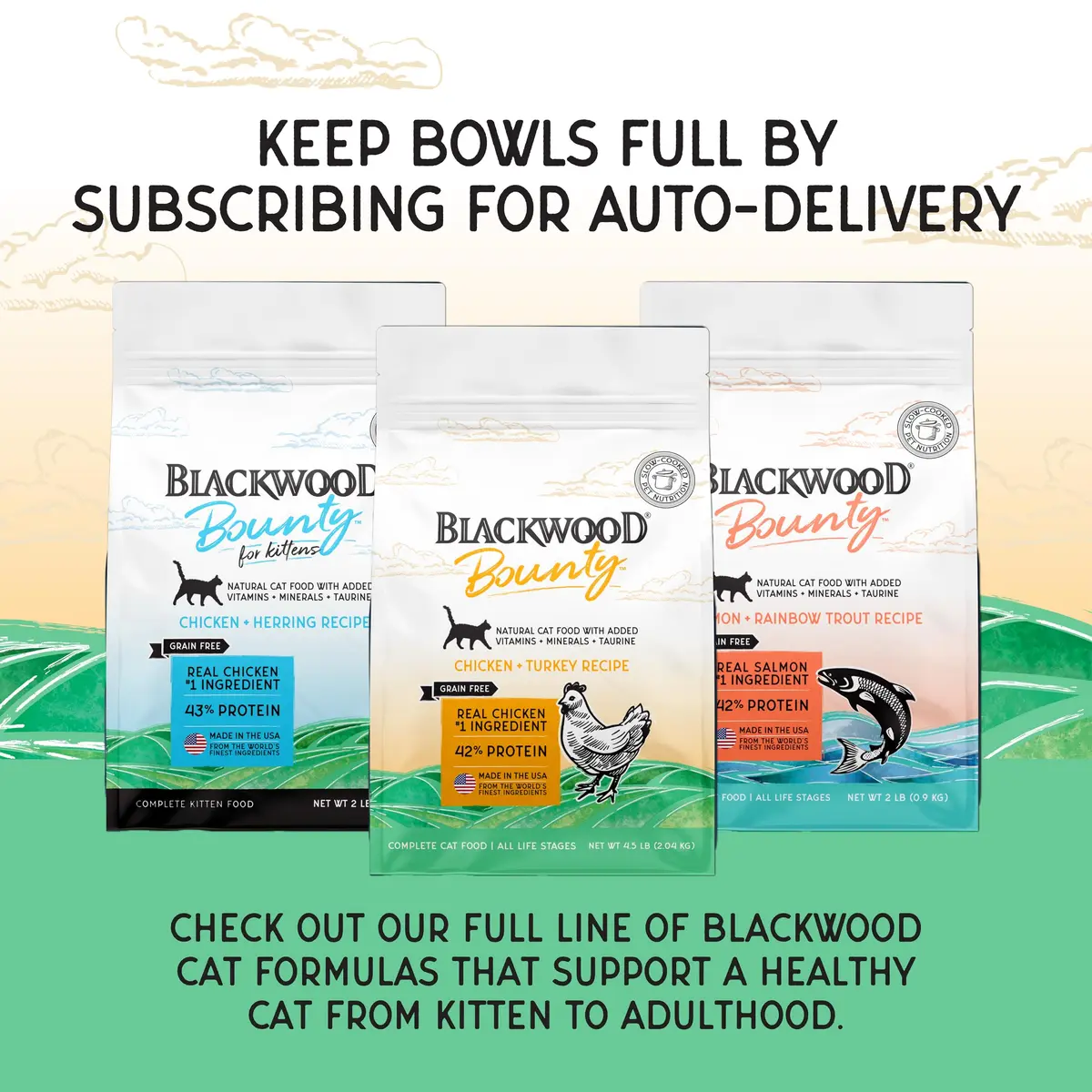 Blackwood Bounty Dry Cat Food Chicken & Turkey Recipe 4.5 lb | High Protein, Grain-Free, Slow Cooked - view 7