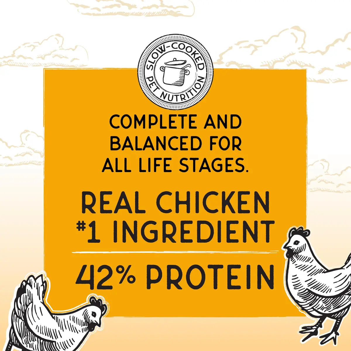 Blackwood Bounty Dry Cat Food Chicken & Turkey Recipe 4.5 lb | High Protein, Grain-Free, Slow Cooked - view 2