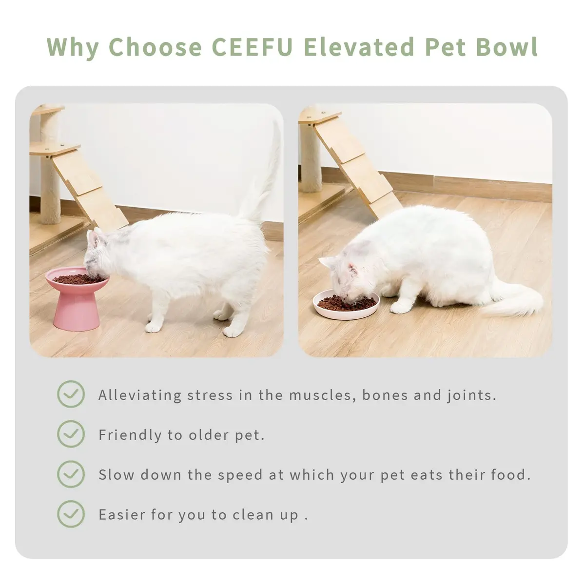 CEEFU 2-Pack Elevated Ceramic Cat Bowls Extra Wide for Food & Water | Whisker-Friendly, Heavy & Stable - view 3