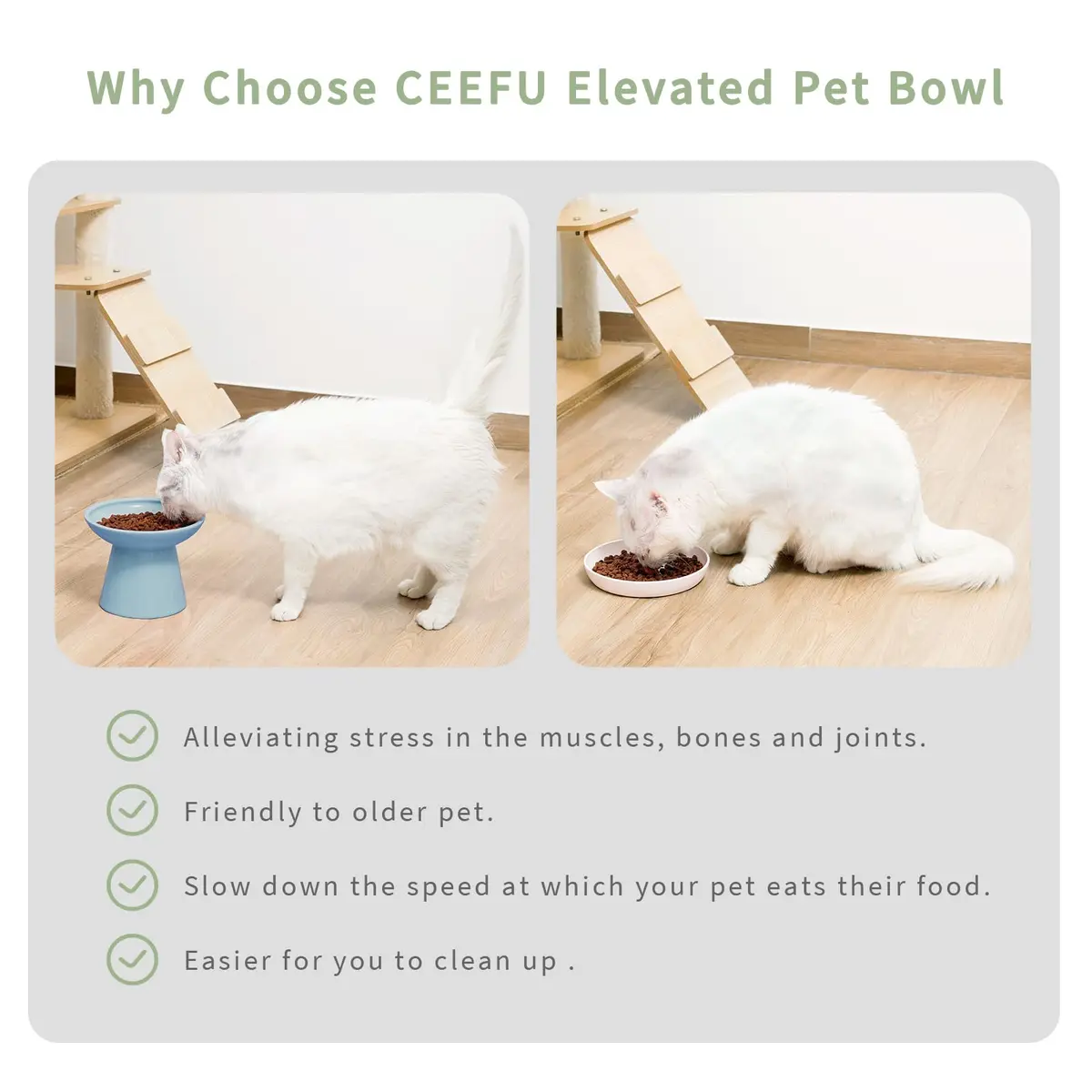 CEEFU 2-Pack Elevated Ceramic Cat Bowls Extra Wide | Whisker-Friendly, Durable & Stylish (70-120 chars) - view 4