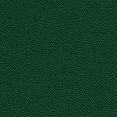 PAPERAGE Lined Journal Notebook Dark Green 252 Pages (5.6 in x 8 in) | Acid-Free Paper for Smooth Writing - main product image