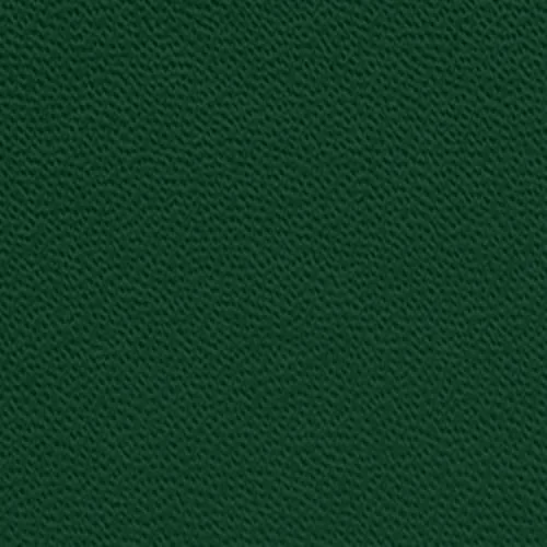 PAPERAGE Lined Journal Notebook Dark Green 252 Pages (5.6 in x 8 in) | Acid-Free Paper for Smooth Writing - main product image