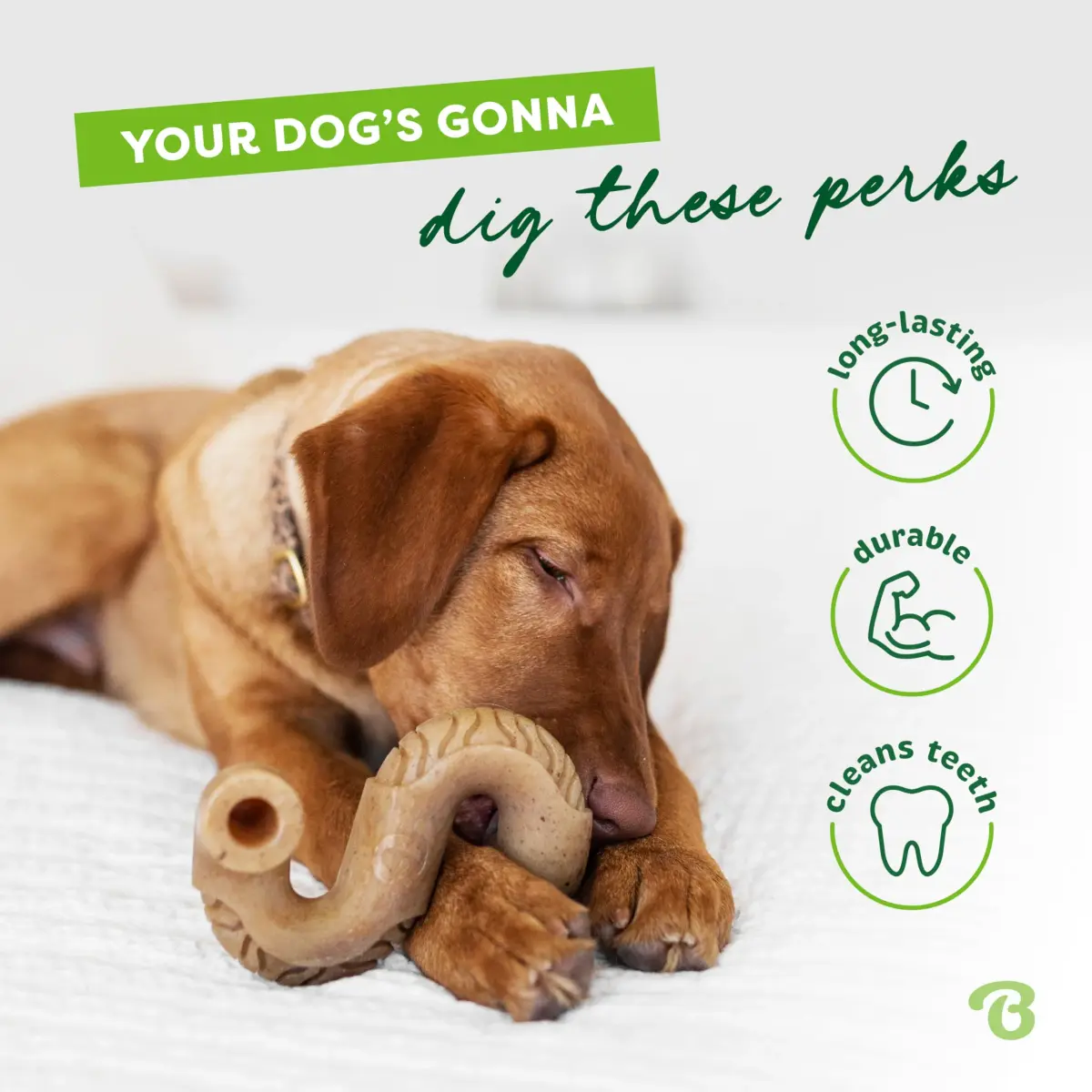 Benebone "Real Chicken" "Brown" "Giant" Bone-Shaped Dental Chew Toy for Aggressive Chewers - view 3