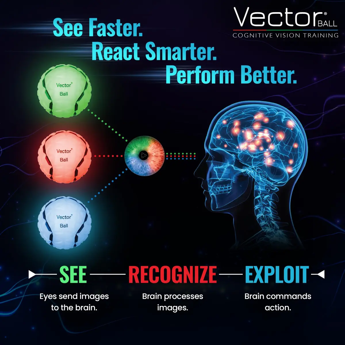 Eye On Ball Vector Ball S Neuro-Visual Reaction Ball 7.6cm (3") | Improves Sports Quickness, Focus, Agility, Speed, Hand Eye Coordination - view 6