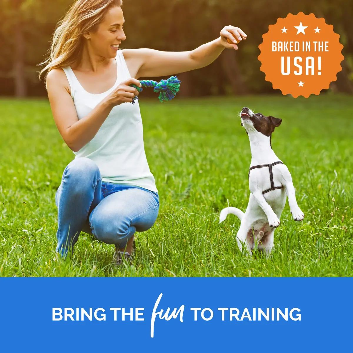 Buddy Biscuits Trainers Training Bites Soft & Chewy Dog Treats, Bacon, 10 oz. Pack of 2 | Low-Calorie, Natural Bacon Reward - view 6