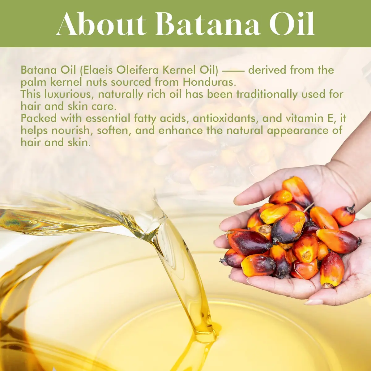 Dolahair Batana Oil for Hair, Scalp & Skin 60 mL (2.03 Fl Oz) | Natural Elaeis Oleifera Kernel Oil for Dry Hair - view 4