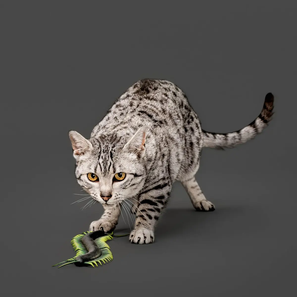 Playology Cat Toys - Catnip Infused Centipede Cat Toy for Chase and Pounce | Stimulates Wild Instincts - view 3