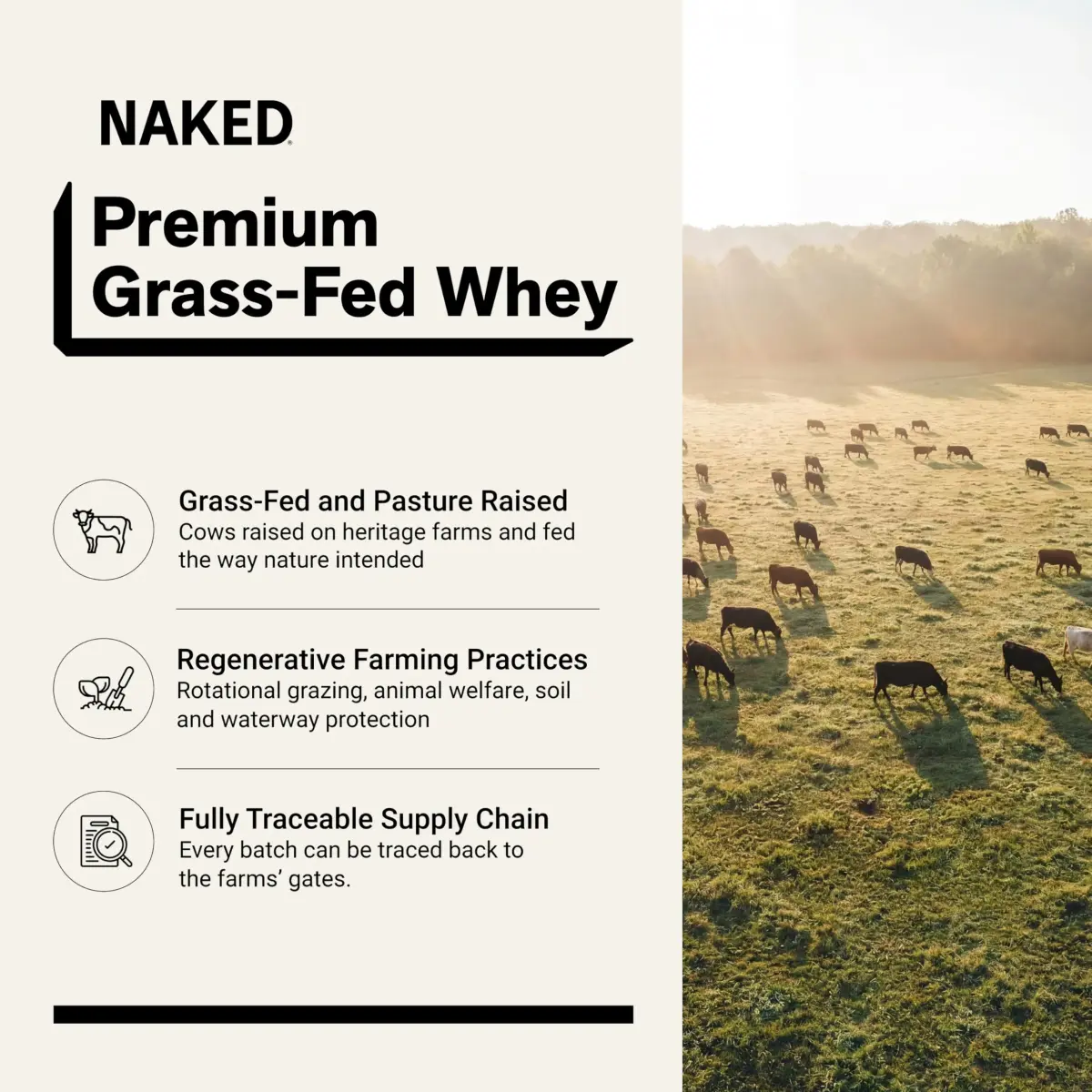 NAKED Strawberry Whey Protein Powder 907g (2 lb) | 25g Protein, 3 Ingredients, Grass Fed - view 2