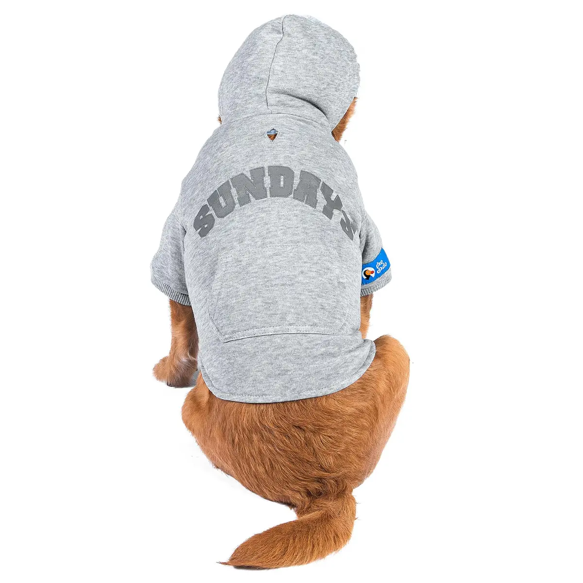 The Dodo Heather Gray ‘Sundays’ Hoodie for Dogs, Size Medium | Cozy, Easy-On Pullover with Leash Hole (110 characters) - main product image