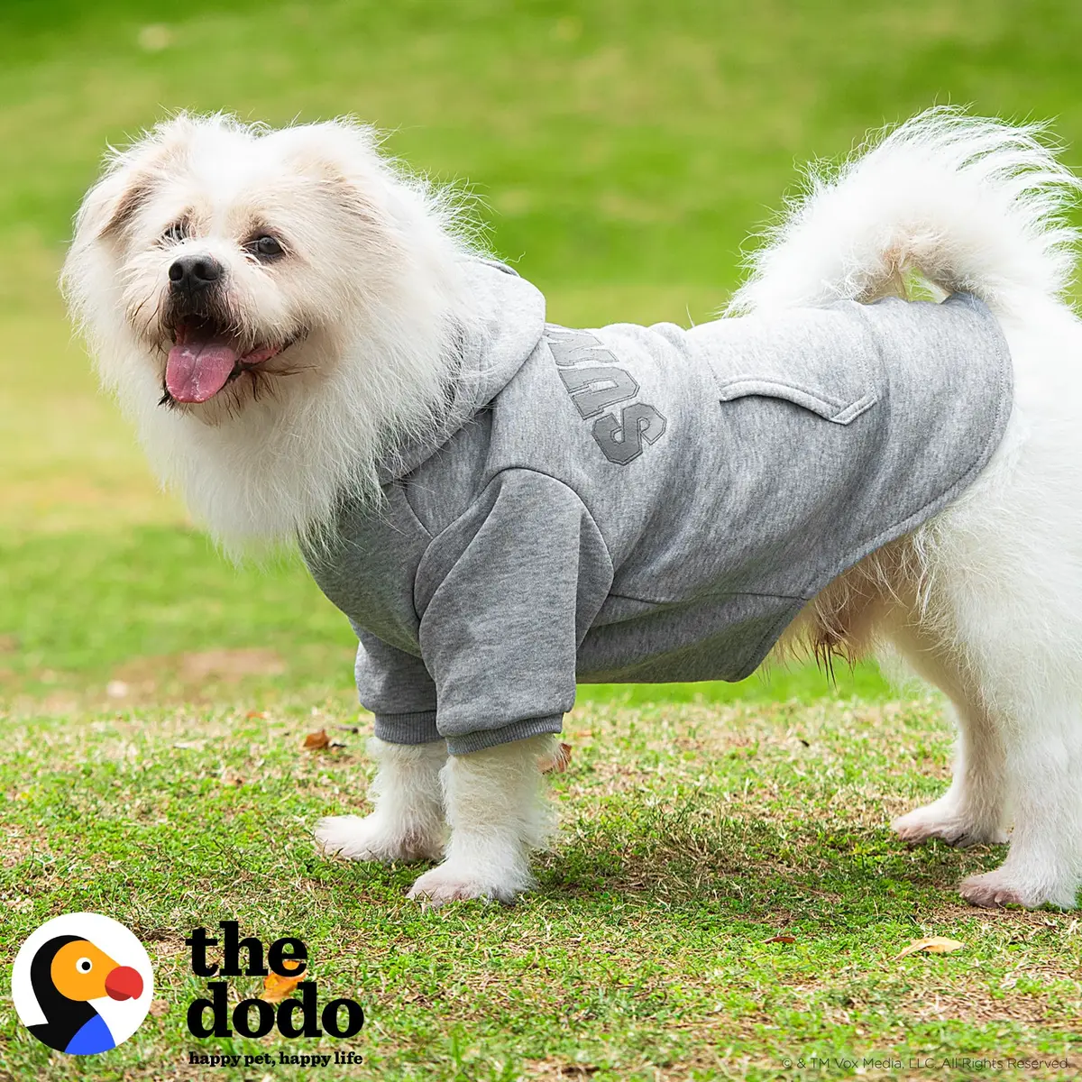 The Dodo Heather Gray ‘Sundays’ Hoodie for Dogs, Size Medium | Cozy, Easy-On Pullover with Leash Hole (110 characters) - view 2