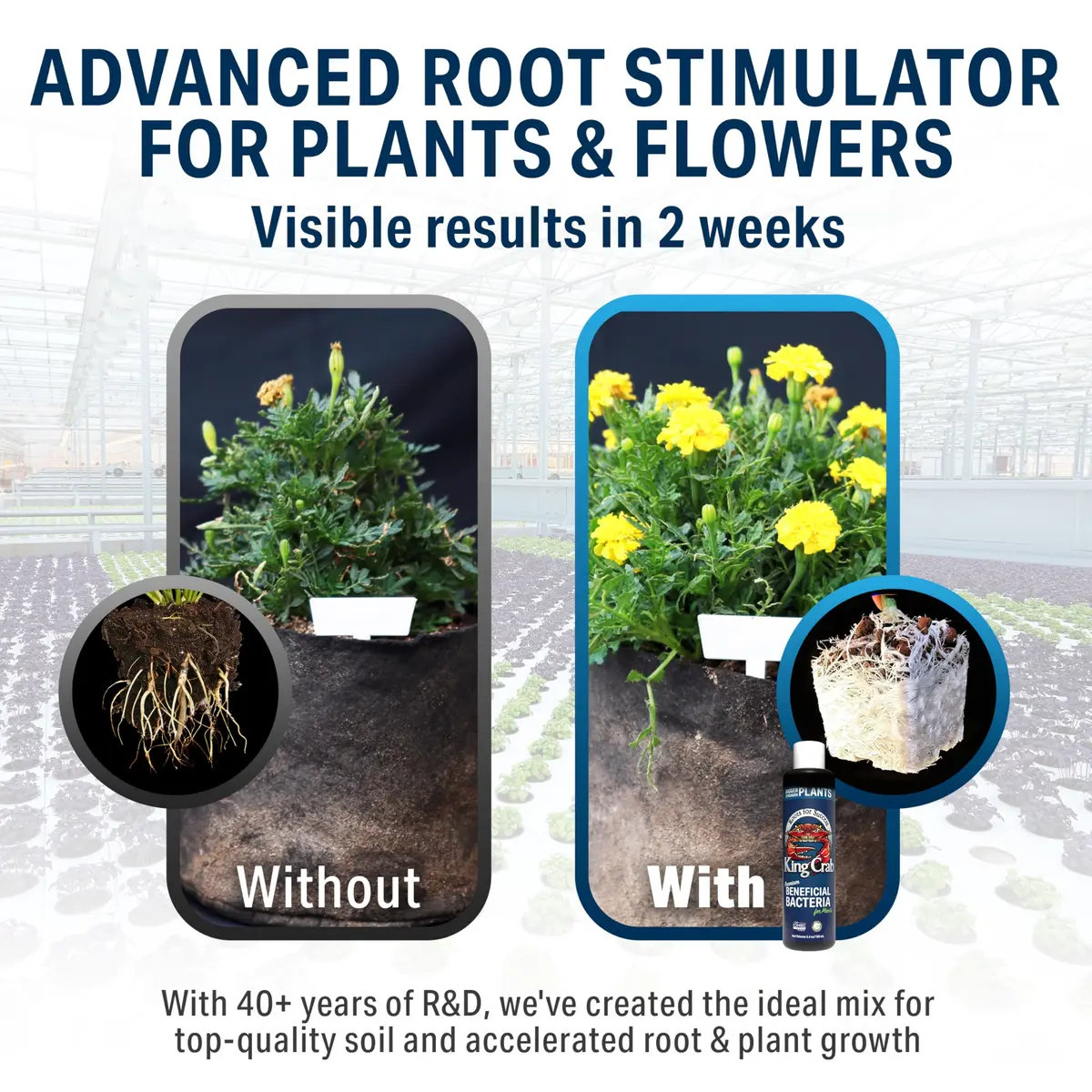 Plant Success King Crab Compost Tea Root Booster 100ml | Organic Soil Conditioner & Microbe Rejuvenator - view 3