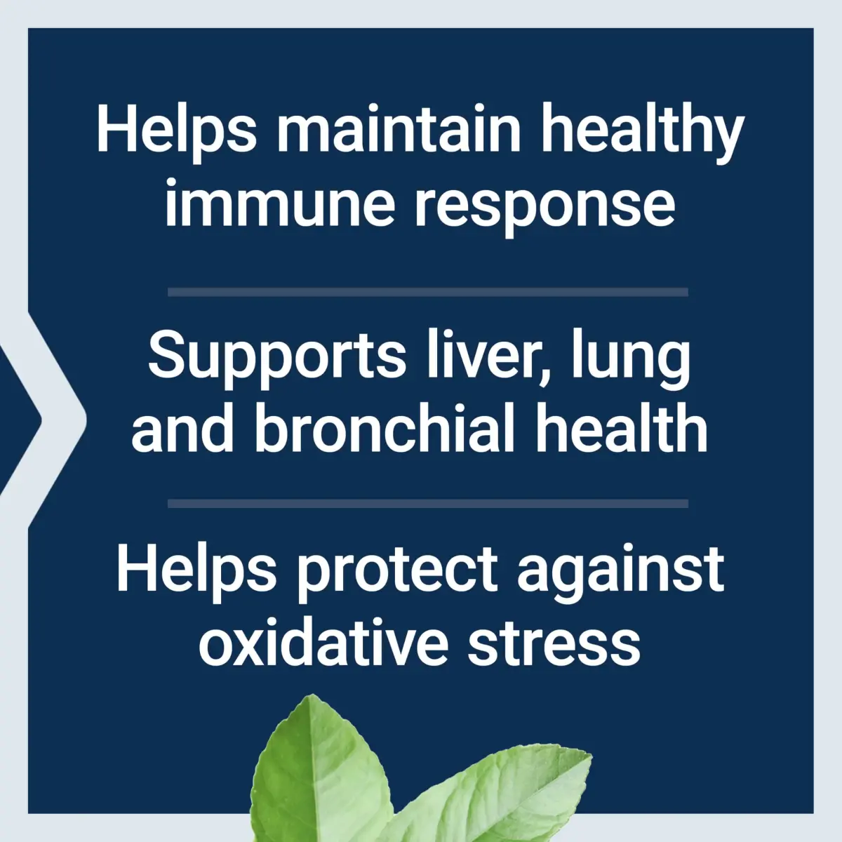 Life Extension N-Acetyl-L-Cysteine (NAC) 600 mg Capsules | Immune, Liver & Respiratory Support - view 3