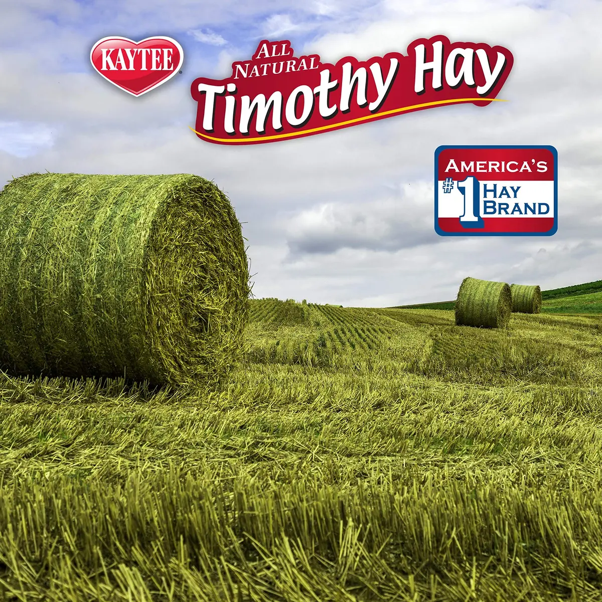 Kaytee Timothy Hay Blend Cubes for Small Animals, 1.81 kg (2 x 16 oz) | High Fiber Digestive Support - view 6