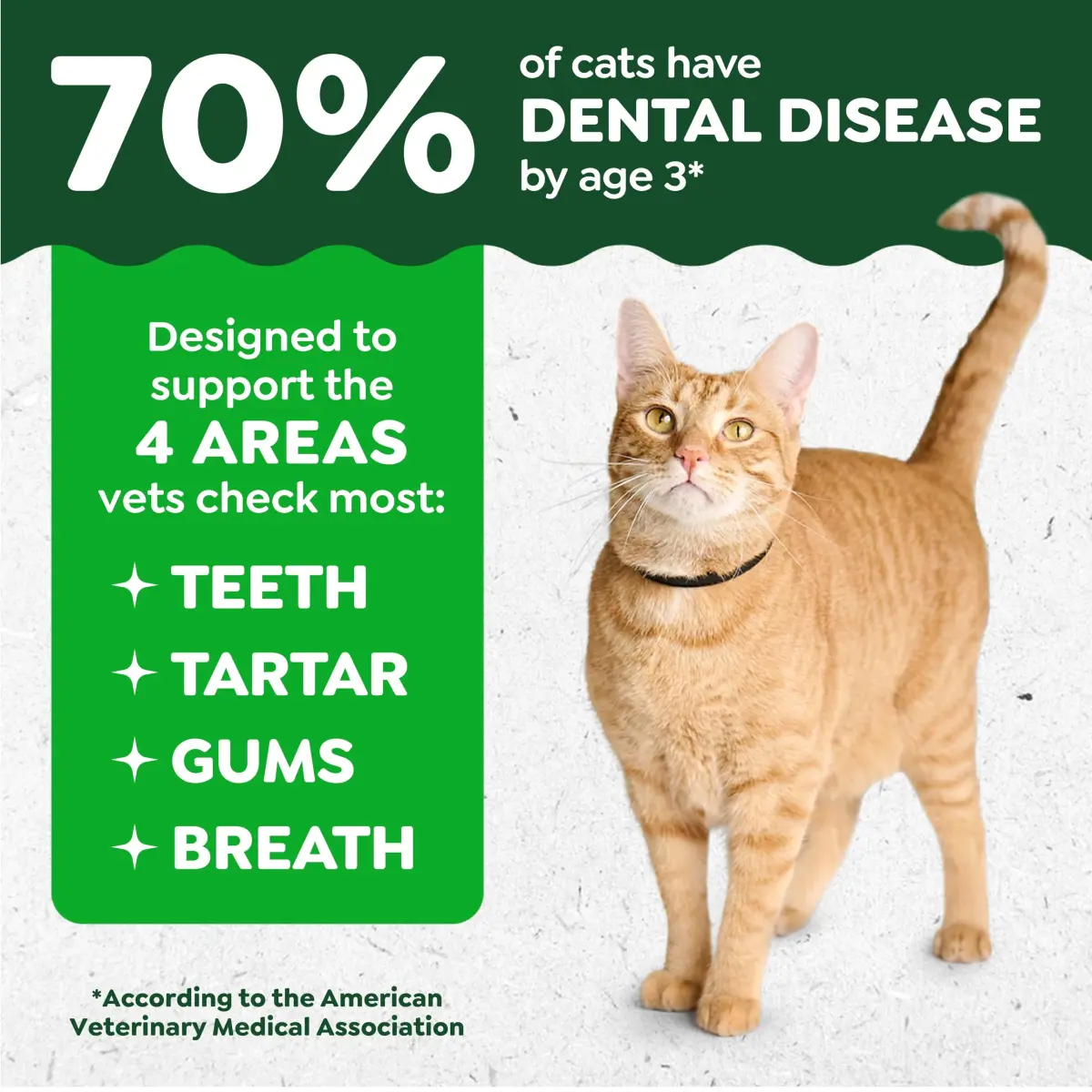 Greenies Tempting Tuna Flavor Dental Cat Treats 9.2 oz (208 g) Pack of 2 | Veterinarian-Recommended Oral Care for Adult Cats - view 2