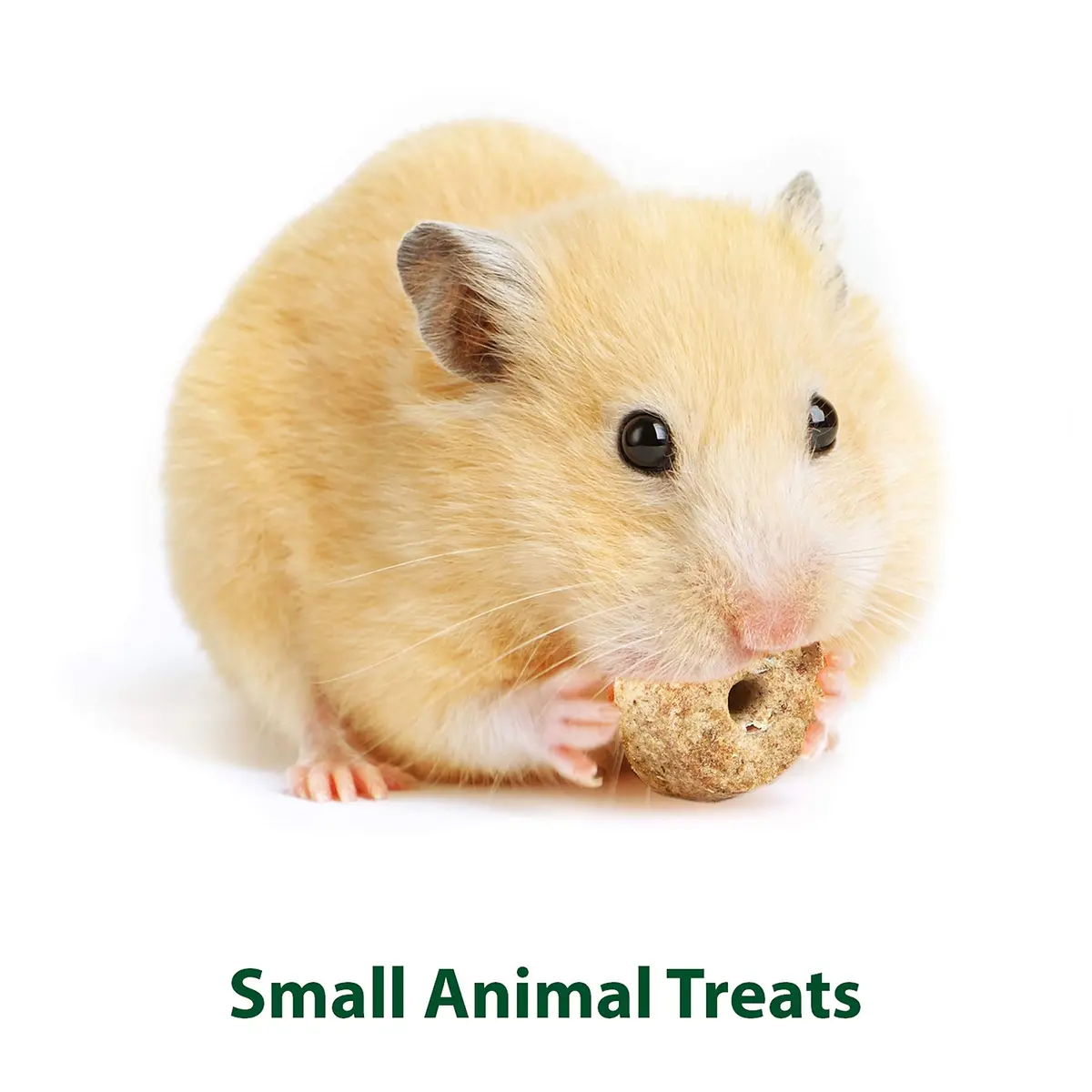 Kaytee Timothy Biscuits Baked Treat for Small Animals Carrot 227 g (8 oz) | Supports Dental Health - view 4