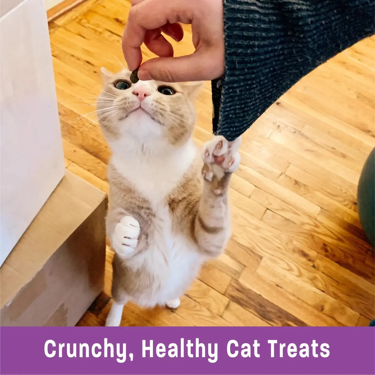 Wellness Kittles Crunchy Cat Treats Tuna & Cranberry Flavor 4 oz (Pack of 2) | Grain-Free Dental Aid - view 5
