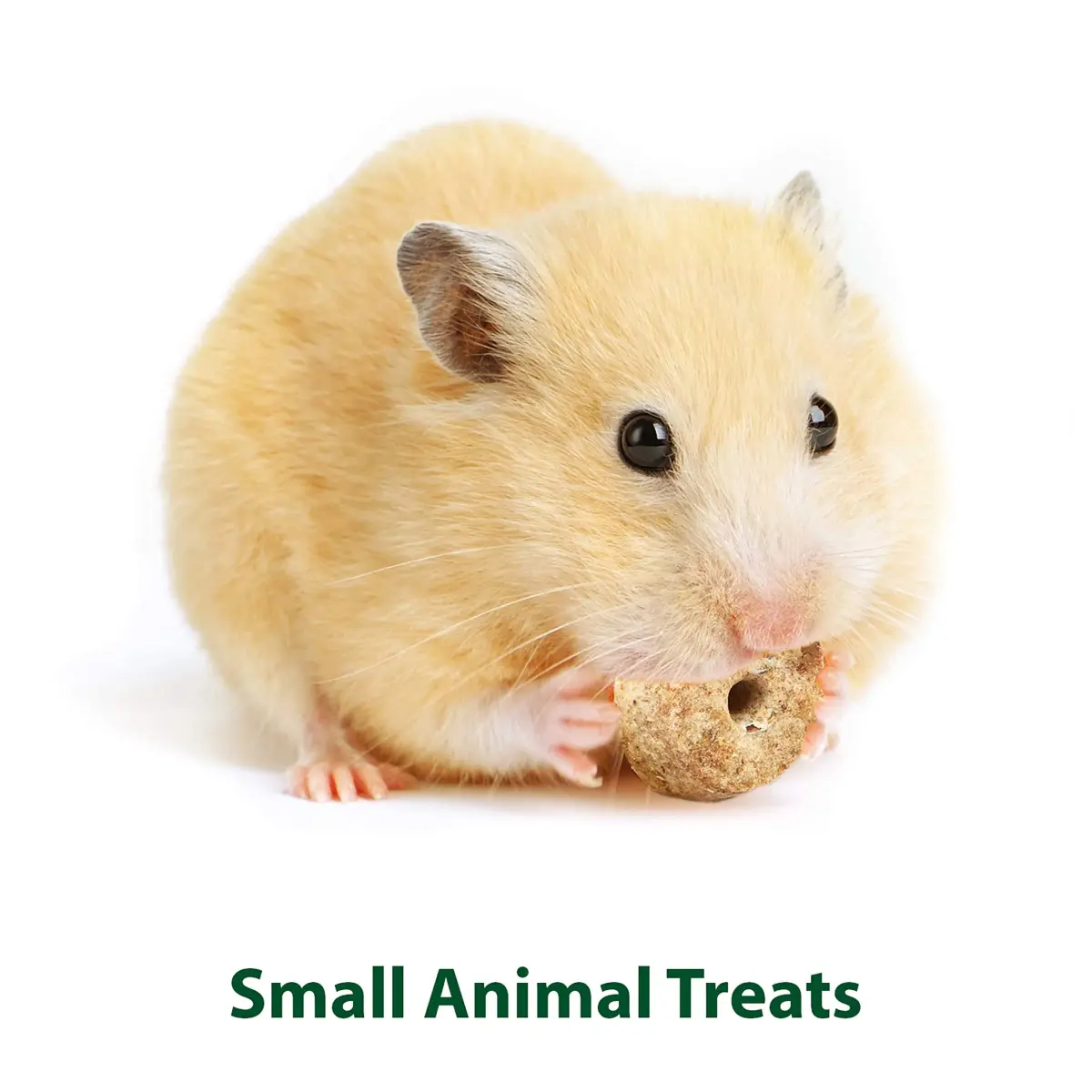 Kaytee Timothy Biscuits Baked Treat for Small Animals, Apple Flavor, 8 oz (Pack of 2) | High Fiber Dental Chews for Rabbits & Guinea Pigs - view 4