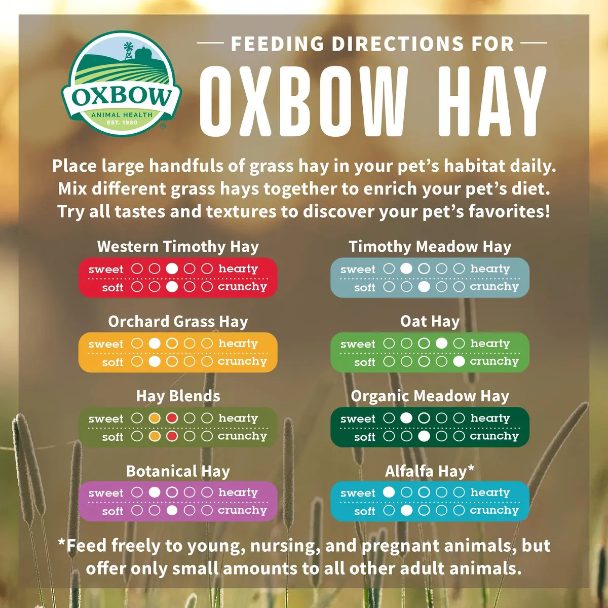 Oxbow Timothy Hay for Rabbits & Guinea Pigs, High Fiber Digestive Health, Grown in USA, 15 oz (425 g) Pack of 2 | Veterinarian Recommended Small Pet Food - view 4