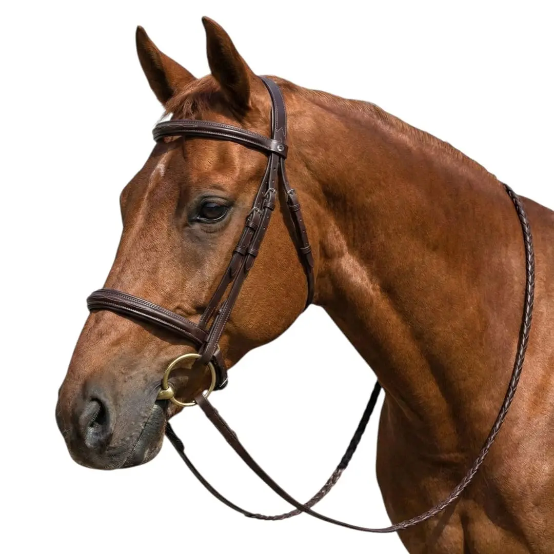 Henri de Rivel Advantage Mono-Crown Padded Bridle - Havana - Cob | Comfortable, Traditional Equestrian Tack - main product image