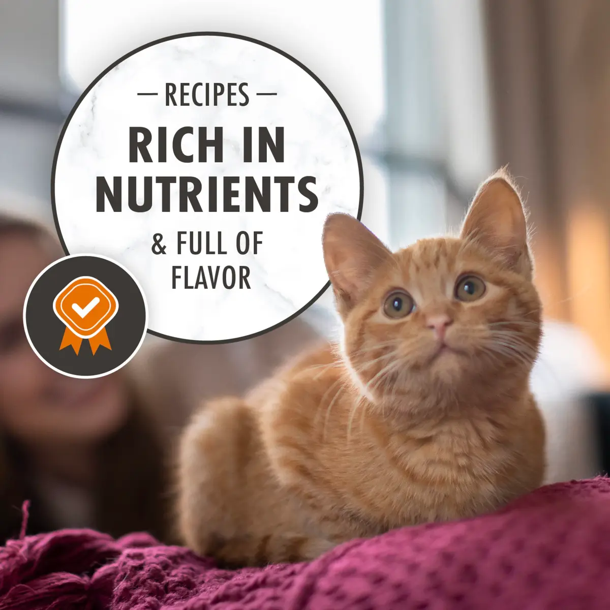 Nutro Wholesome Essentials Kitten Natural Dry Cat Food for Early Development Farm-Raised Chicken & Brown Rice Recipe, 3 lb. Bag (Pack of 2) | Supports Growth & Immunity - view 6